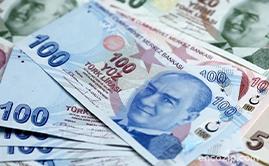 Banknot Nedir?