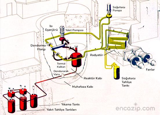 Nükleer Reaktör Nedir? Nükleer Reaktör Nasıl Çalışır?