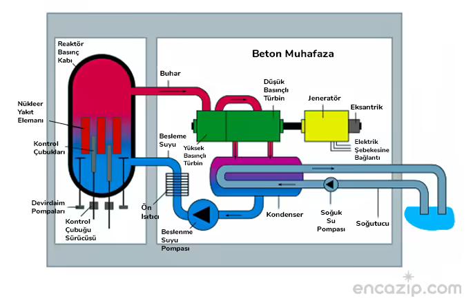Nükleer Reaktör Nedir? Nükleer Reaktör Nasıl Çalışır?