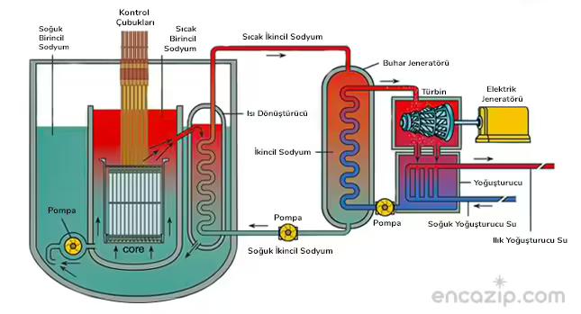Nükleer Reaktör Nedir? Nükleer Reaktör Nasıl Çalışır?