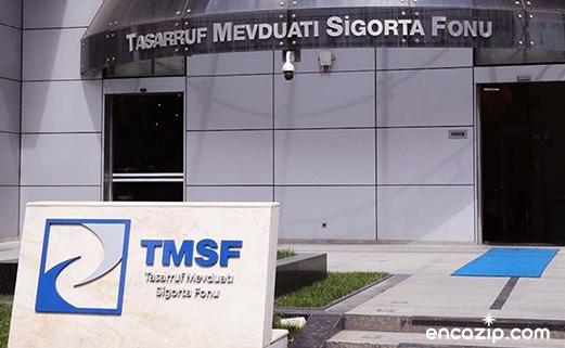 Tasarruf Mevduatı Sigorta Fonu (TMSF) Nedir?